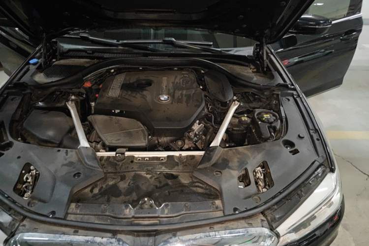 Used BMW 5 Series 2020 530Li Leading Edition Luxury Package Engine Bay Left