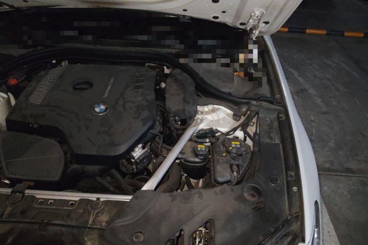 Used BMW 5 Series 2020 530Li Luxury Edition Premium Package Engine Bay Left