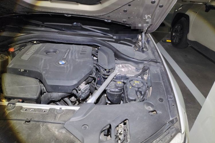 Used BMW 5 Series 2020 530Li Luxury Edition Premium Package Engine Bay Left