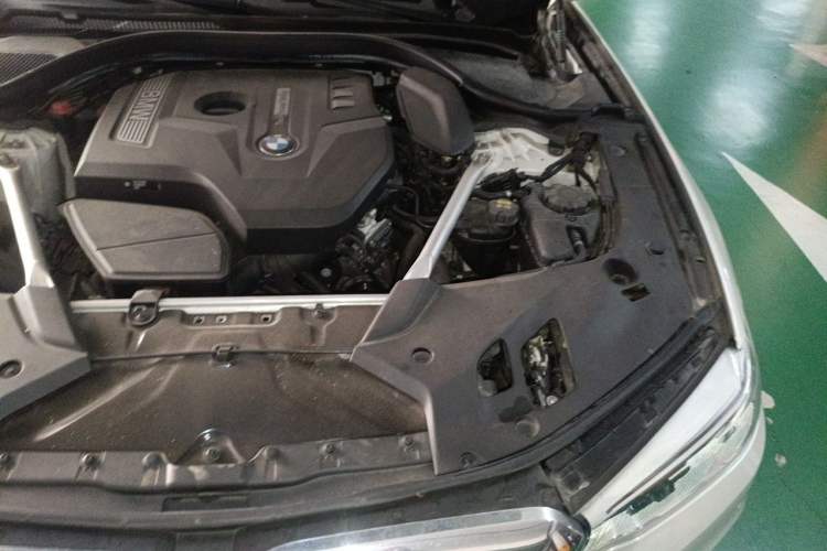 Used BMW 5 Series 2020 530Li Leading Edition Luxury Package Engine Bay Left