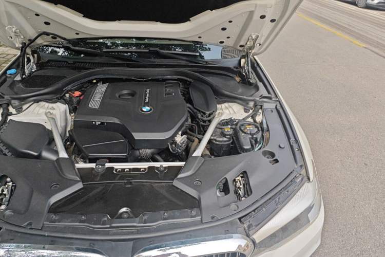 Used BMW 5 Series 2020 525Li Luxury Package Engine Bay Left