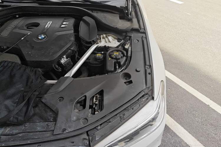 Used BMW 5 Series 2020 530Li Luxury Edition M Sport Package Engine Bay Left