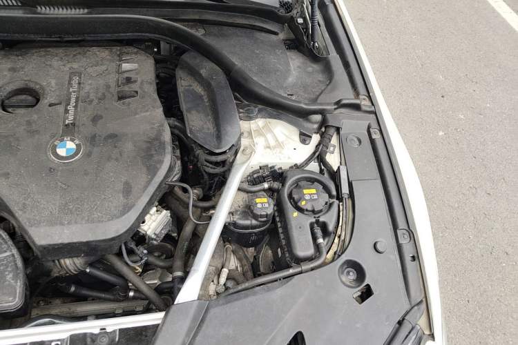 Used BMW 5 Series 2020 530Li Luxury Edition M Sport Package Engine Bay Left