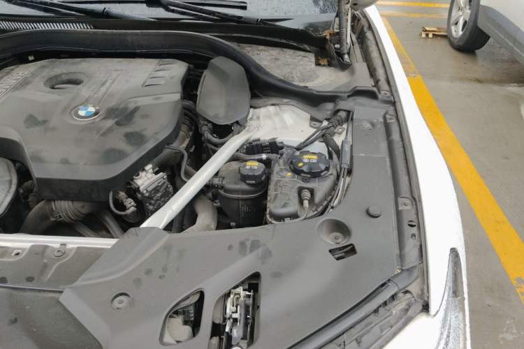 Used BMW 5 Series 2020 530Li Luxury Edition Premium Package Engine Bay Left