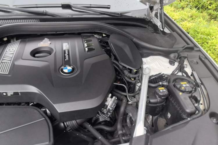 Used BMW 5 Series 2020 525Li M Sport Package Engine Bay Left