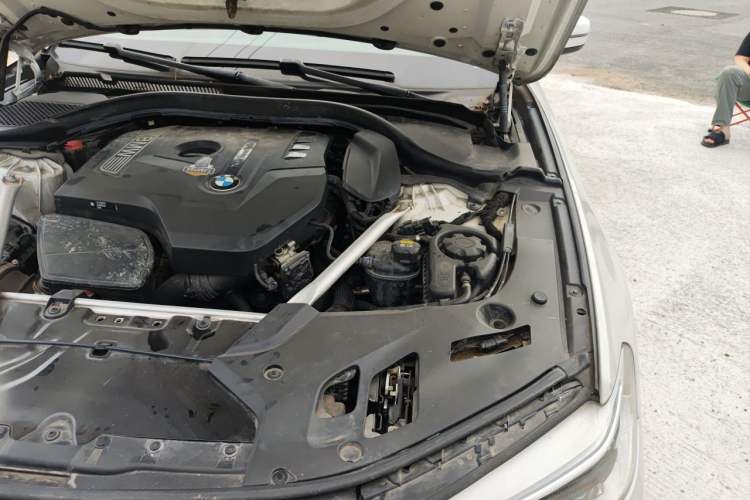 Used BMW 5 Series 2020 530Li Leading Edition Luxury Package Engine Bay Left