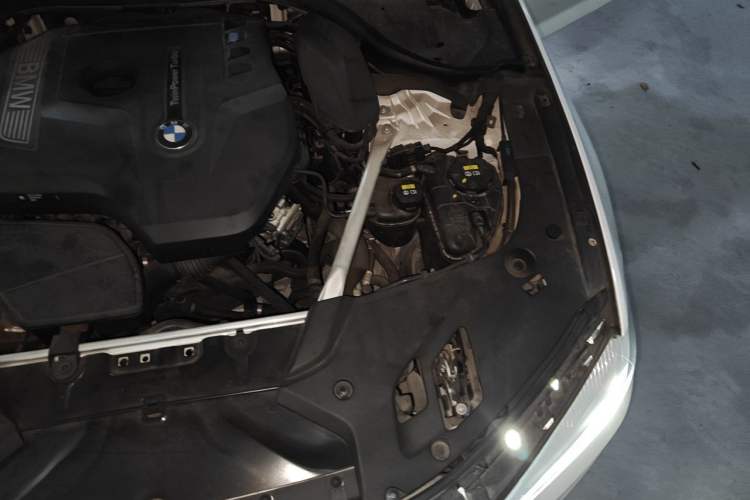 Used BMW 5 Series 2020 525Li M Sport Package Engine Bay Left