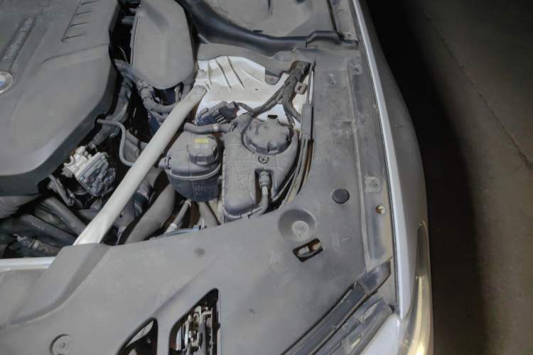 Used BMW 5 Series 2020 530Li Luxury Edition Premium Package Engine Bay Left