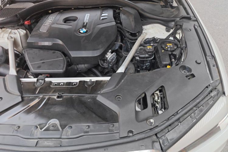 Used BMW 5 Series 2020 525Li Luxury Package Engine Bay Left