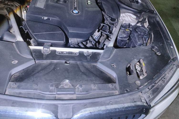Used BMW 5 Series 2020 530Li Luxury Edition Premium Package Engine Bay Left