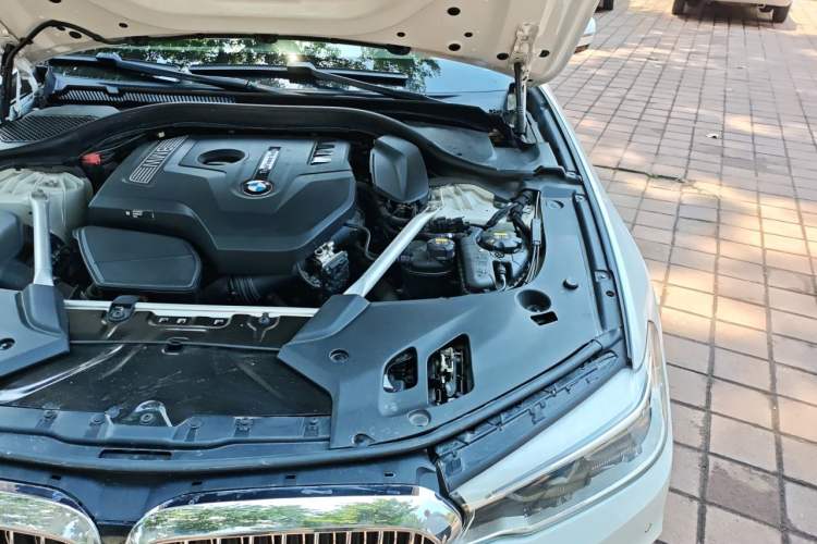 Used BMW 5 Series 2020 530Li Leading Edition Luxury Package Engine Bay Left