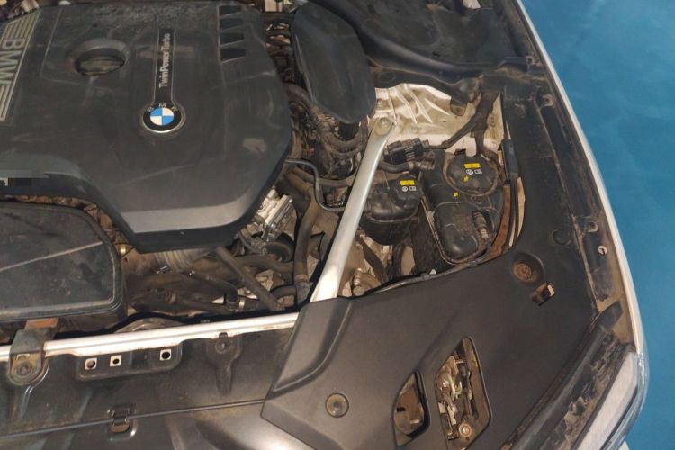 Used BMW 5 Series 2020 530Li Luxury Edition Premium Package Engine Bay Left