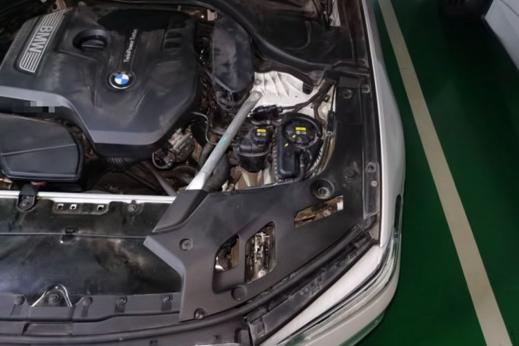 Used BMW 5 Series 2020 530Li Luxury Edition Premium Package Engine Bay Left