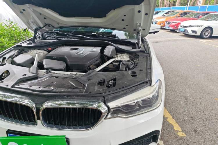 Used BMW 5 Series 2020 530Li Leading Model M Sport Package Engine Bay Left