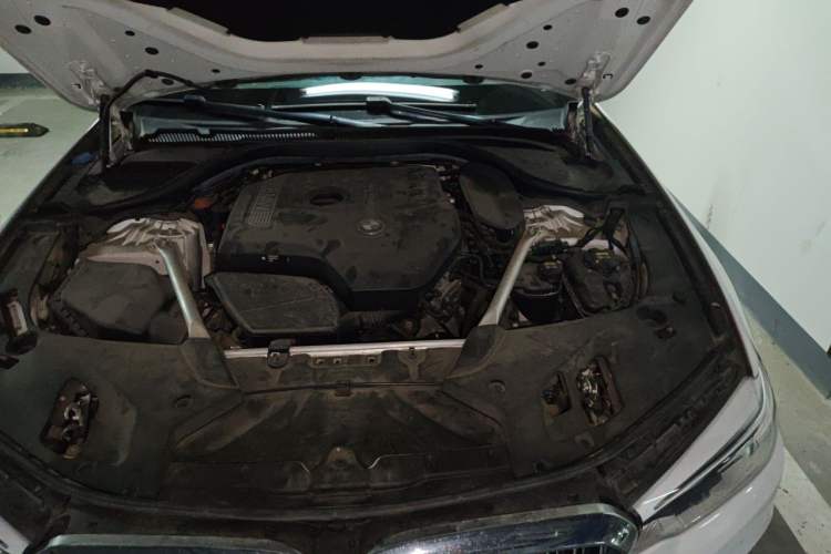 Used BMW 5 Series 2020 530Li Leading Edition Luxury Package Engine Bay Left