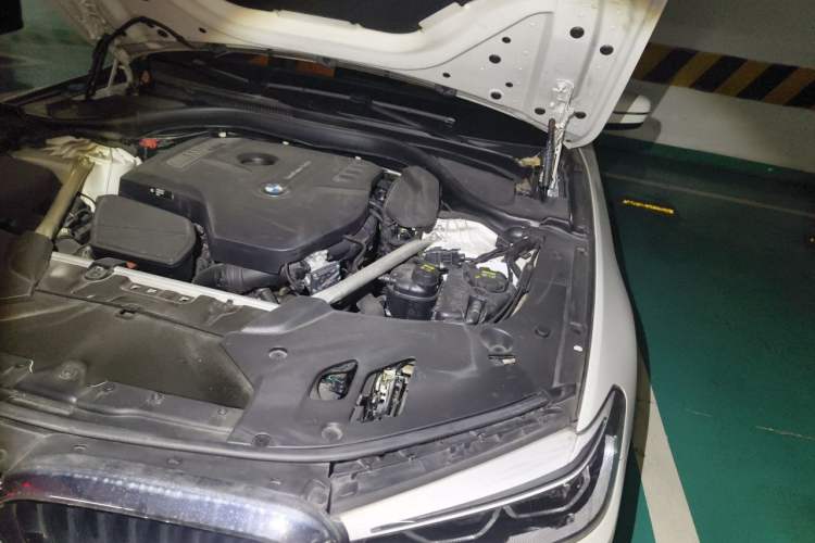 Used BMW 5 Series 2020 530Li Leading Model M Sport Package Engine Bay Left