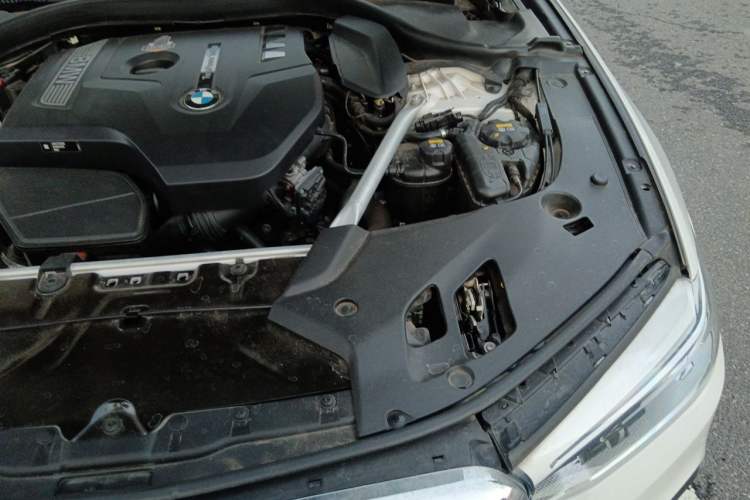 Used BMW 5 Series 2020 530Li Leading Model M Sport Package Engine Bay Left