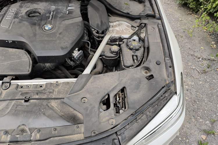 Used BMW 5 Series 2020 530Li Luxury Edition Premium Package Engine Bay Left