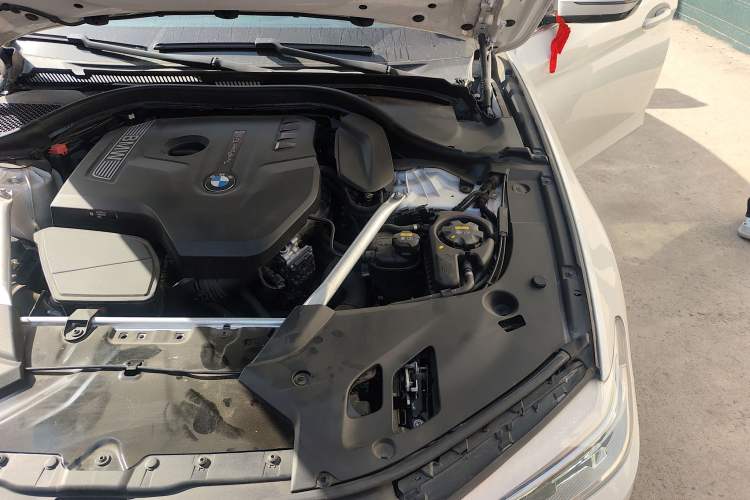 Used BMW 5 Series 2020 530Li Luxury Edition M Sport Package Engine Bay Left