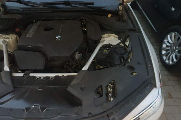 Used BMW 5 Series 2020 530Li Luxury Edition Premium Package Engine Bay Left