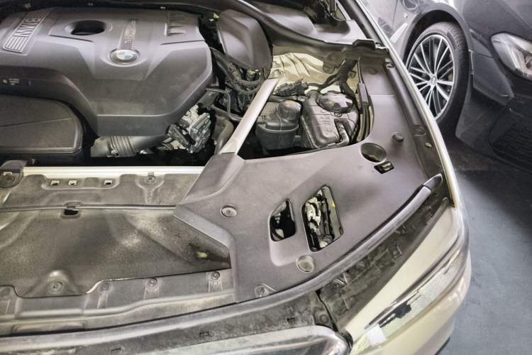 Used BMW 5 Series 2020 530Li Luxury Edition M Sport Package Engine Bay Left