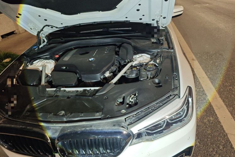Used BMW 5 Series 2020 530Li Luxury Edition M Sport Package Engine Bay Left