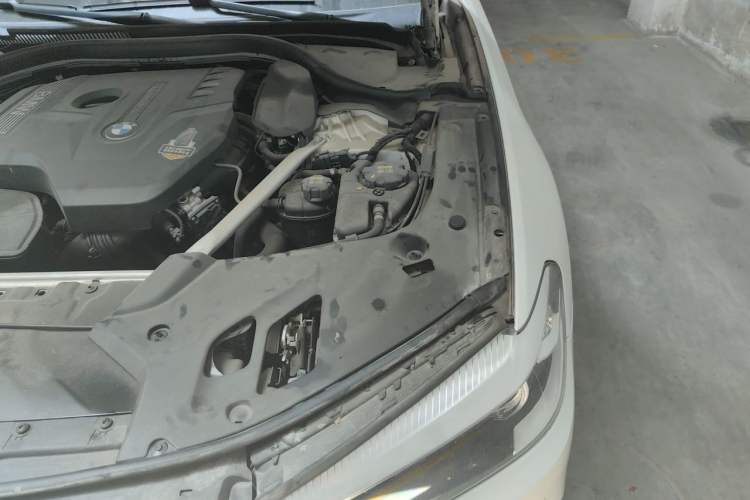 Used BMW 5 Series 2020 525Li Luxury Package Engine Bay Left