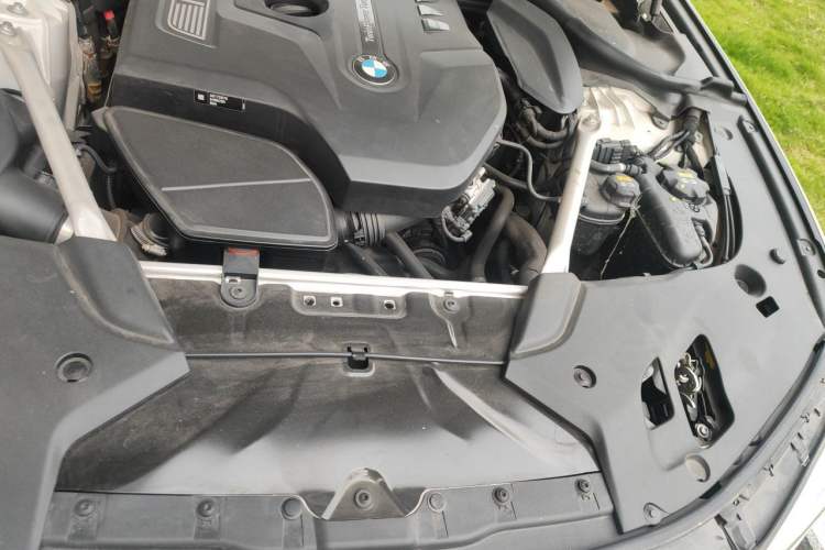 Used BMW 5 Series 2020 530Li Leading Edition Luxury Package Engine Bay Left