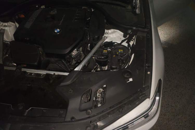 Used BMW 5 Series 2020 530Li Leading Edition Luxury Package Engine Bay Left
