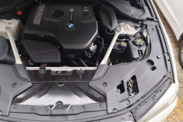 Used BMW 5 Series 2020 525Li Luxury Package Engine Bay Left