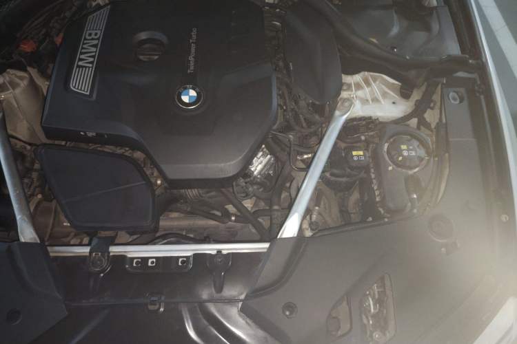 Used BMW 5 Series 2020 530Li Leading Model M Sport Package Engine Bay Left