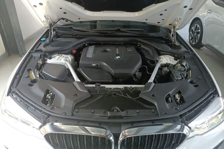 Used BMW 5 Series 2020 530Li Leading Model M Sport Package Engine Bay