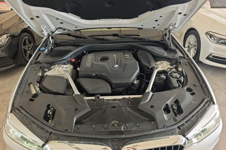 Used BMW 5 Series 2020 530Li Luxury Edition Premium Package Engine Bay