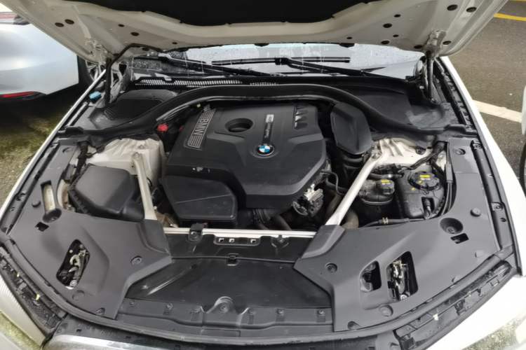 Used BMW 5 Series 2020 525Li Luxury Package Engine Bay
