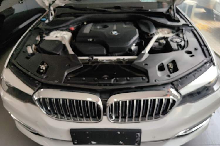 Used BMW 5 Series 2020 525Li Luxury Package Engine Bay