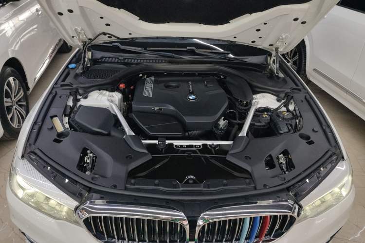 Used BMW 5 Series 2020 525Li Luxury Package Engine Bay
