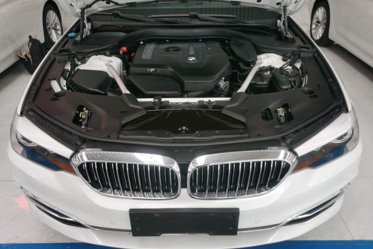Used BMW 5 Series 2020 525Li Luxury Package Engine Bay