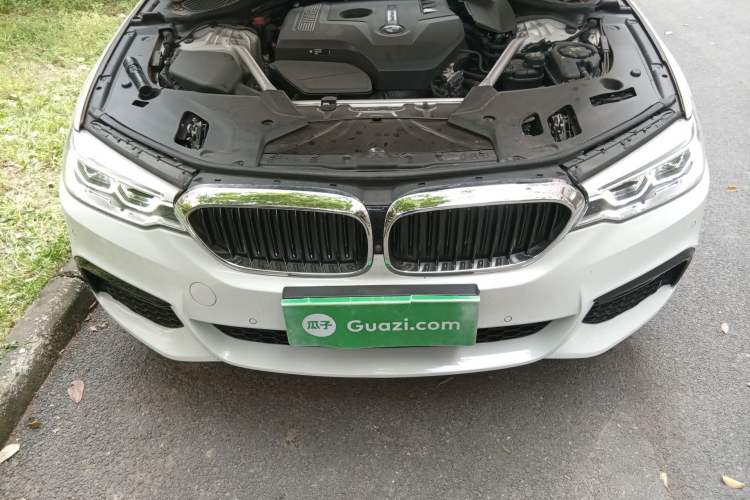 Used BMW 5 Series 2020 530Li Luxury Edition M Sport Package Engine Bay