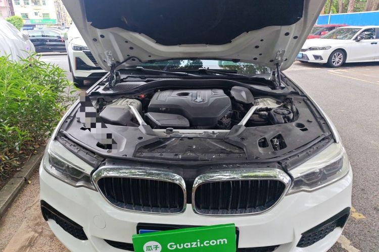 Used BMW 5 Series 2020 530Li Leading Model M Sport Package Engine Bay