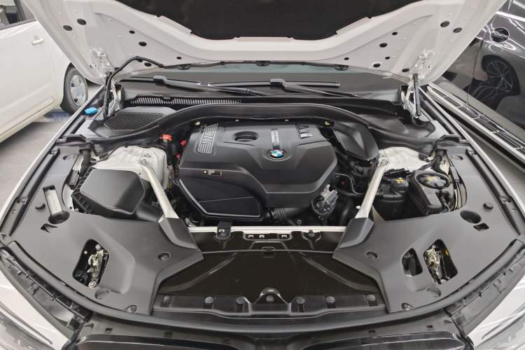 Used BMW 5 Series 2020 530Li Luxury Edition M Sport Package Engine Bay