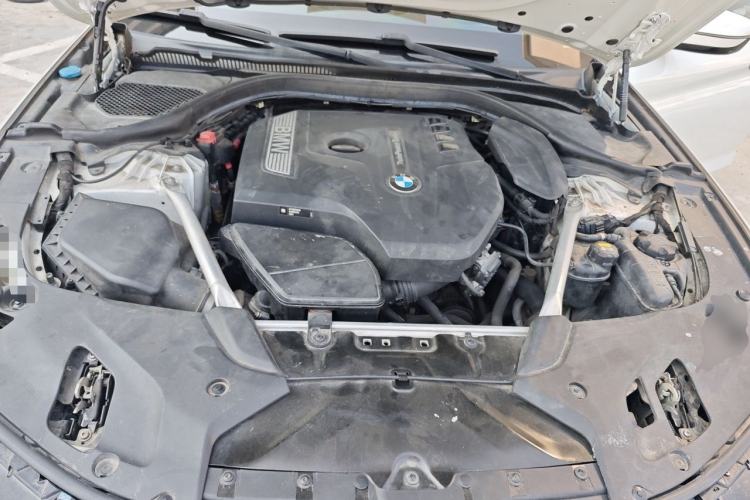 Used BMW 5 Series 2020 530Li Luxury Edition M Sport Package Engine Bay