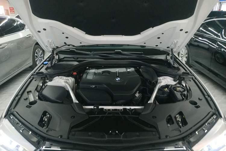 Used BMW 5 Series 2020 525Li Luxury Package Engine Bay
