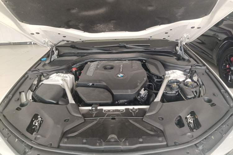 Used BMW 5 Series 2020 525Li M Sport Package Engine Bay