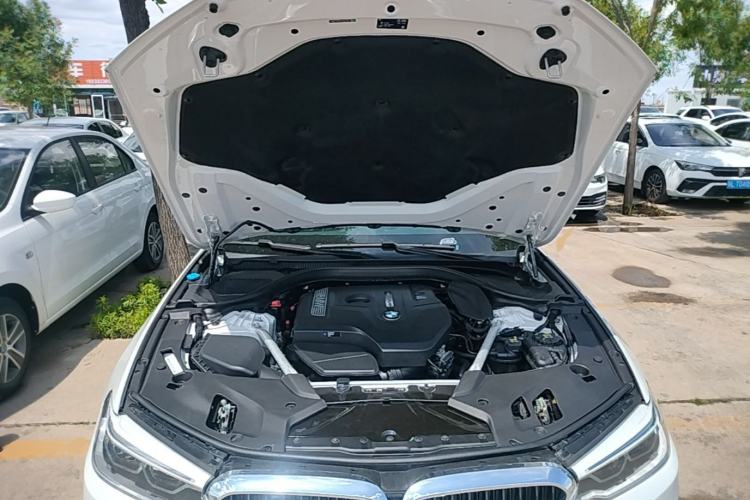 Used BMW 5 Series 2020 530Li xDrive M Sport Package Engine Bay