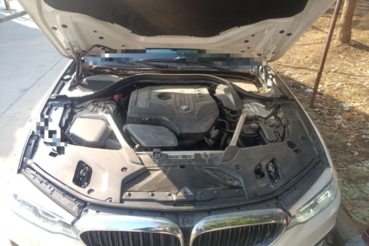 Used BMW 5 Series 2020 530Li Leading Model M Sport Package Engine Bay