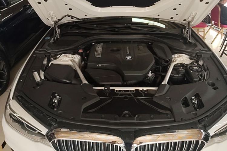 Used BMW 5 Series 2020 530Li Leading Edition Luxury Package Engine Bay