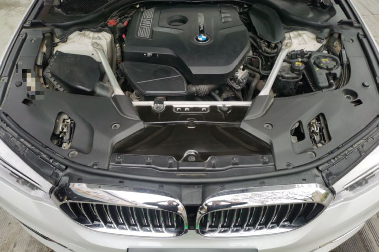 Used BMW 5 Series 2020 530Li Luxury Edition Premium Package Engine Bay
