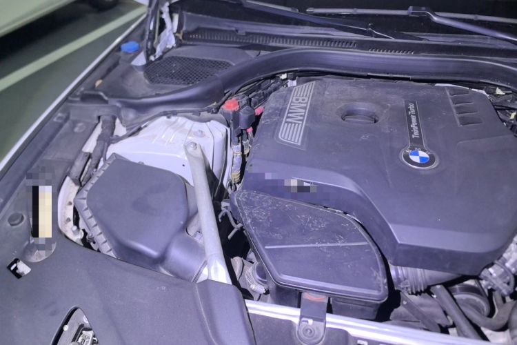 Used BMW 5 Series 2020 530Li Luxury Edition M Sport Package Engine Bay Right
