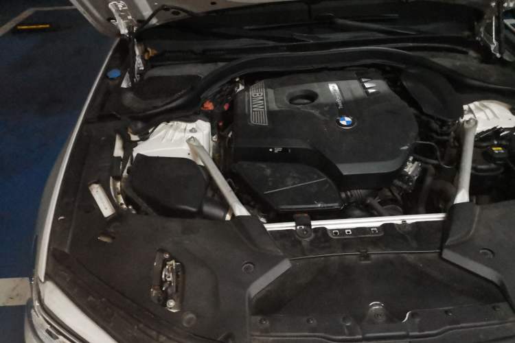 Used BMW 5 Series 2020 530Li Luxury Edition Premium Package Engine Bay Right