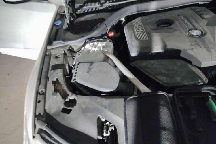 Used BMW 5 Series 2020 530Li Leading Edition Luxury Package Engine Bay Right